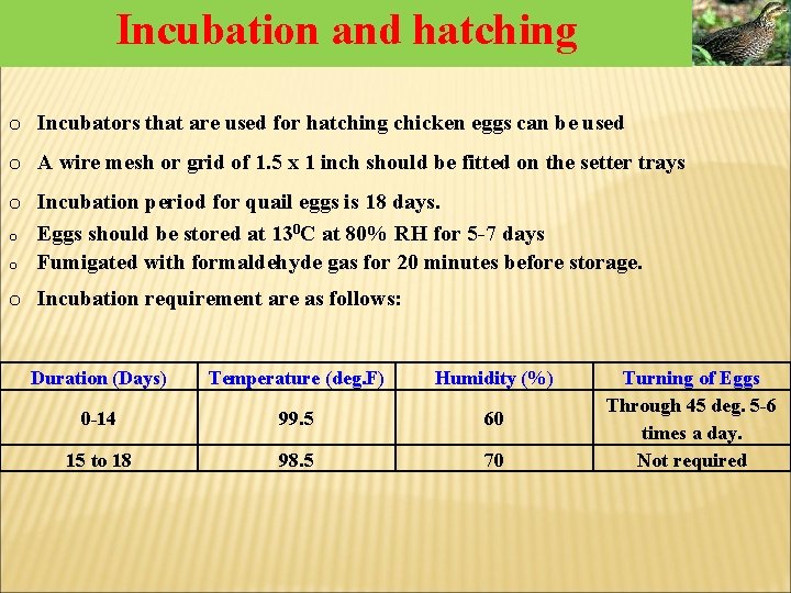 Incubation and hatching o Incubators that are used for hatching chicken eggs can be Incubation and hatching o Incubators that are used for hatching chicken eggs can be