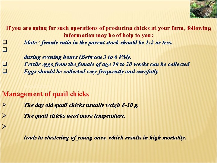 If you are going for such operations of producing chicks at your farm, following If you are going for such operations of producing chicks at your farm, following