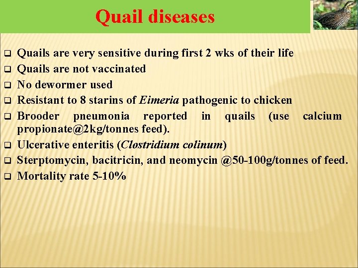 Quail diseases q q q q Quails are very sensitive during first 2 wks Quail diseases q q q q Quails are very sensitive during first 2 wks