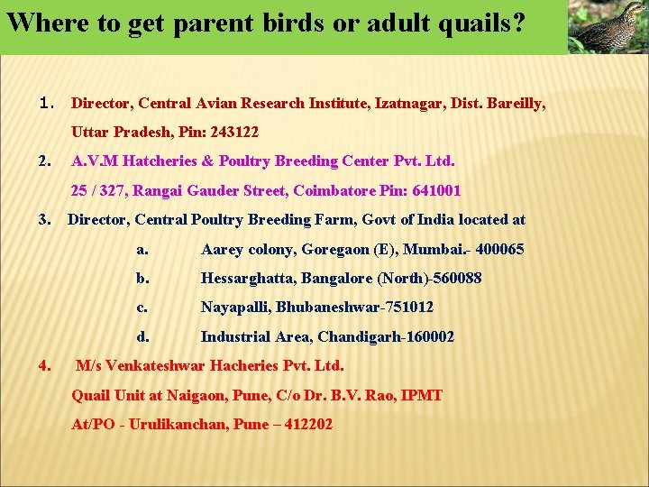 Where to get parent birds or adult quails? 1. Director, Central Avian Research Institute, Where to get parent birds or adult quails? 1. Director, Central Avian Research Institute,