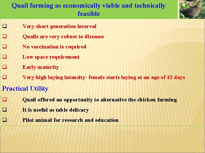 Quail farming as economically viable and technically feasible q Very short generation interval q Quail farming as economically viable and technically feasible q Very short generation interval q