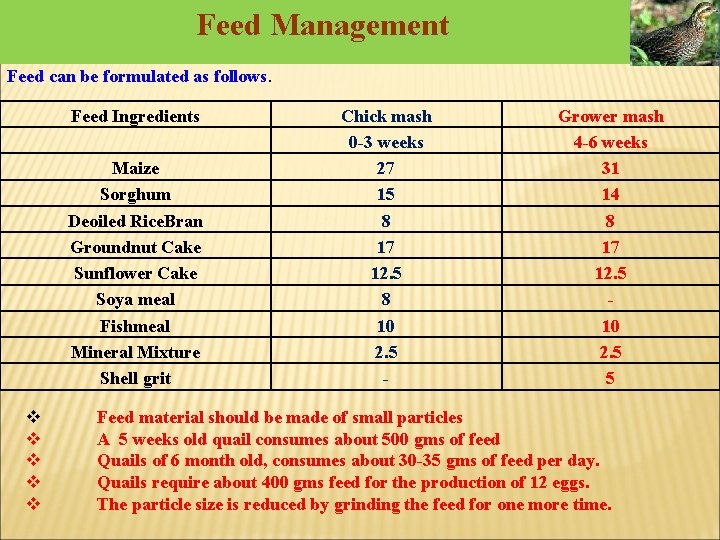Feed Management Feed can be formulated as follows. Feed Ingredients Maize Sorghum Deoiled Rice. Feed Management Feed can be formulated as follows. Feed Ingredients Maize Sorghum Deoiled Rice.