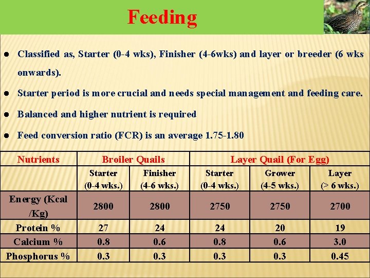 Feeding l Classified as, Starter (0 -4 wks), Finisher (4 -6 wks) and layer Feeding l Classified as, Starter (0 -4 wks), Finisher (4 -6 wks) and layer