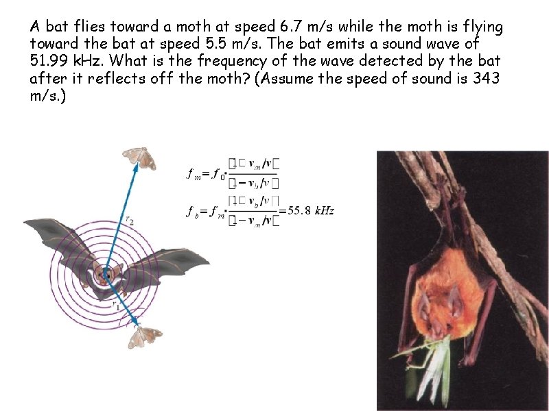 A bat flies toward a moth at speed 6. 7 m/s while the moth