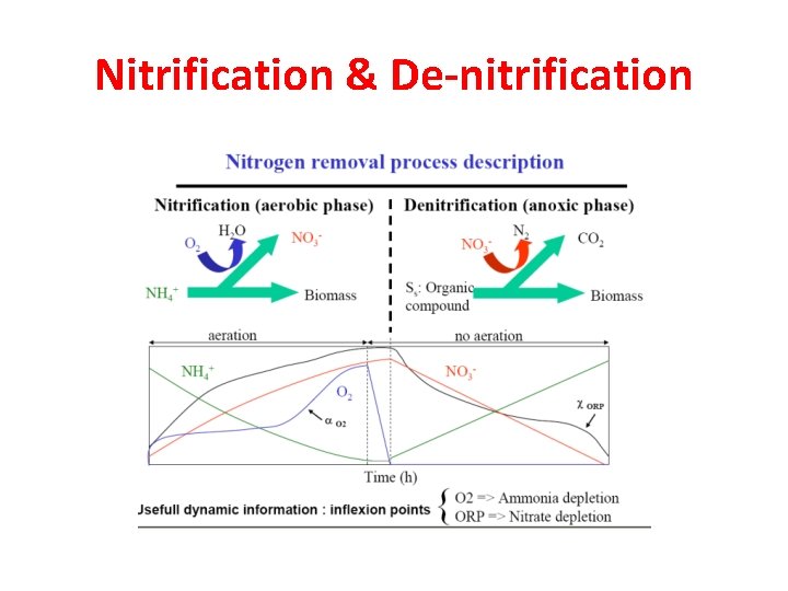 Nitrification & De-nitrification 