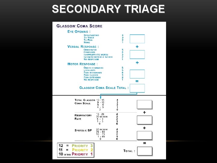 SECONDARY TRIAGE 