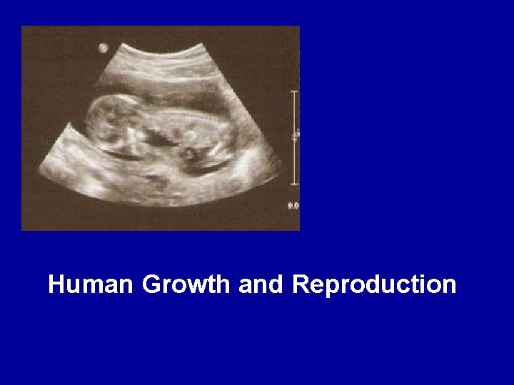 Human Growth and Reproduction 