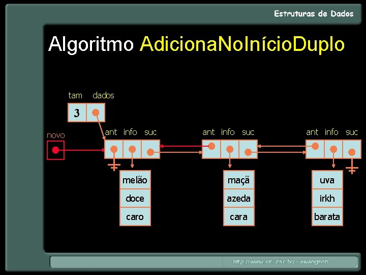 Algoritmo Adiciona. No. Início. Duplo tam dados 3 novo ant info suc melão maçã