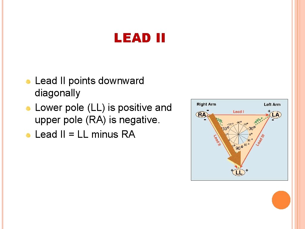LEAD II Lead II points downward diagonally Lower pole (LL) is positive and upper