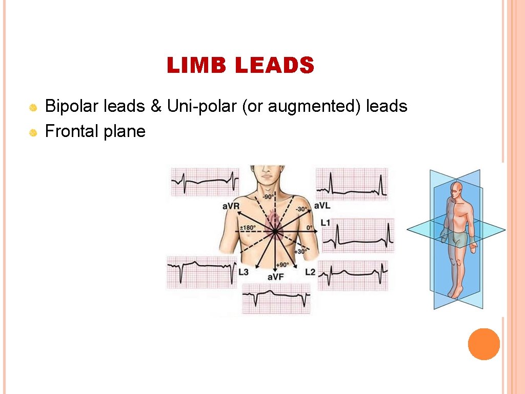 LIMB LEADS Bipolar leads & Uni-polar (or augmented) leads Frontal plane 