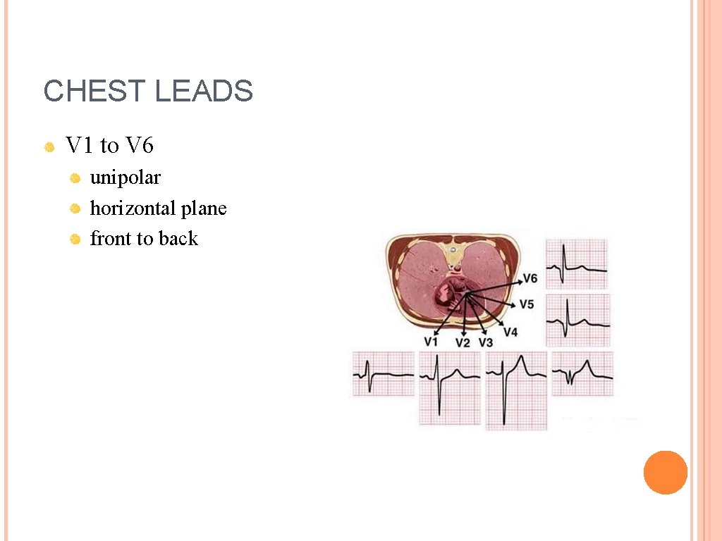 CHEST LEADS V 1 to V 6 unipolar horizontal plane front to back 