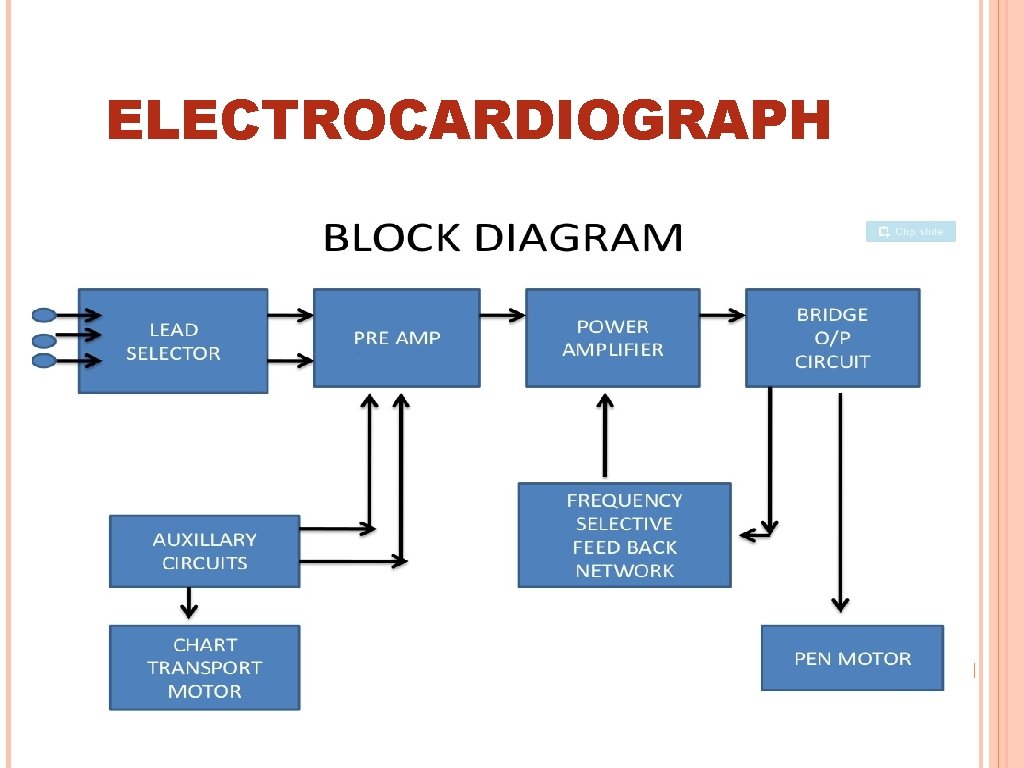 ELECTROCARDIOGRAPH 