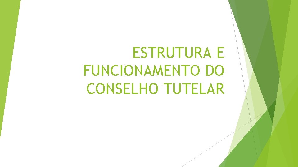 ESTRUTURA E FUNCIONAMENTO DO CONSELHO TUTELAR 