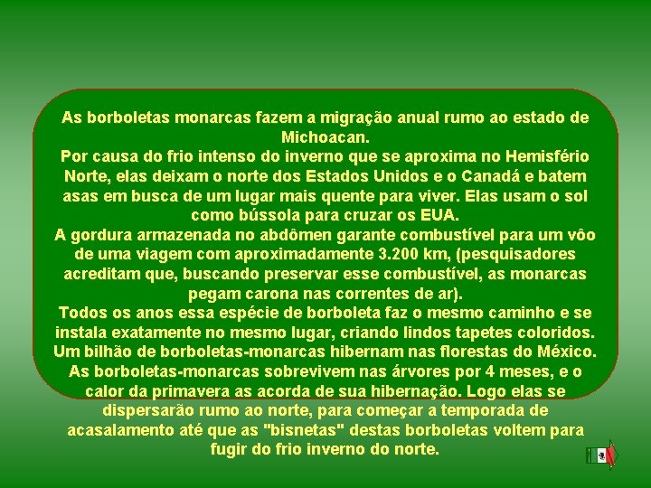 As borboletas monarcas fazem a migração anual rumo ao estado de Michoacan. Por causa