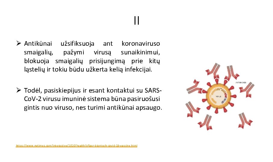 II Ø Antikūnai užsifiksuoja ant koronaviruso smaigalių, pažymi virusą sunaikinimui, blokuoja smaigalių prisijungimą prie