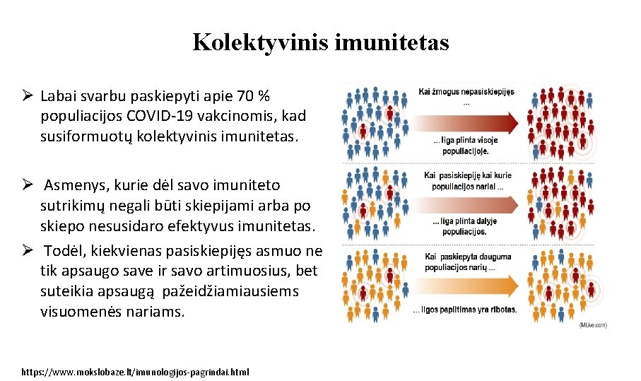 Kolektyvinis imunitetas Ø Labai svarbu paskiepyti apie 70 % populiacijos COVID-19 vakcinomis, kad susiformuotų