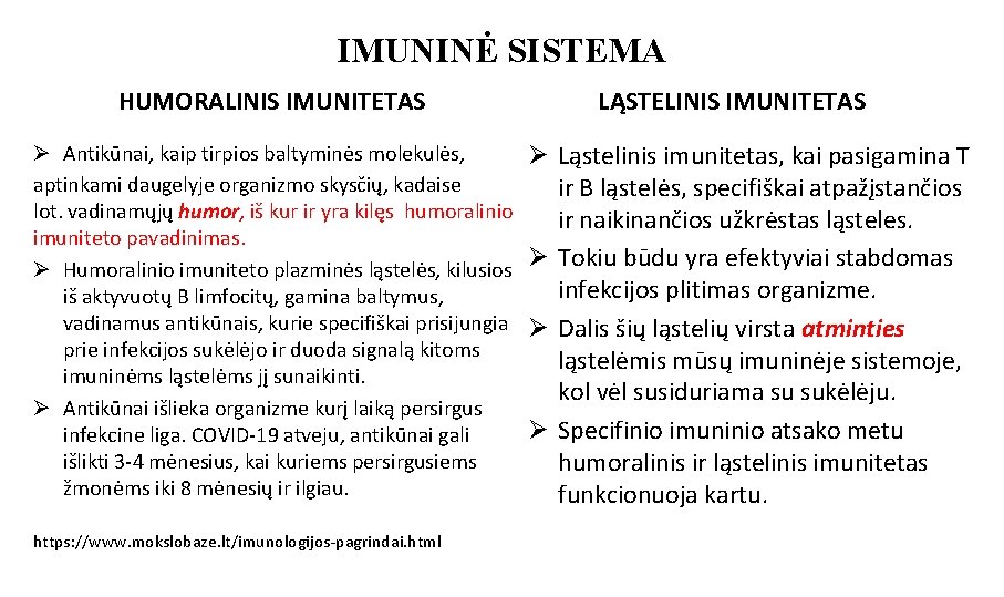 IMUNINĖ SISTEMA HUMORALINIS IMUNITETAS Ø Antikūnai, kaip tirpios baltyminės molekulės, aptinkami daugelyje organizmo skysčių,