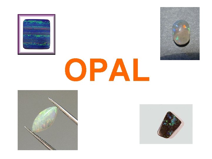 OPAL 