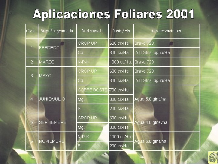 Ciclo 1 2 3 Mes Programado FEBRERO MARZO MAYO Metalosato Dosis/Ha Observaciones CROP UP