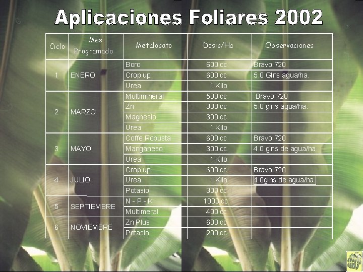 Ciclo 1 2 3 Mes Programado ENERO MARZO MAYO 4 JULIO 5 SEPTIEMBRE 6