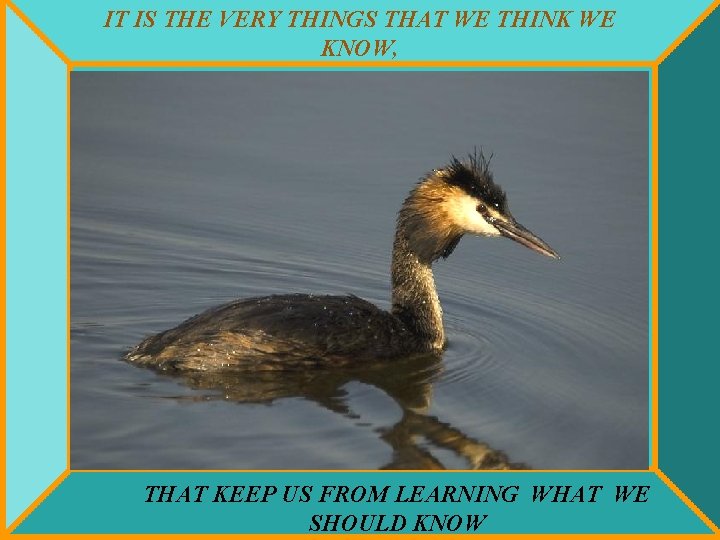 IT IS THE VERY THINGS THAT WE THINK WE KNOW, THAT KEEP US FROM