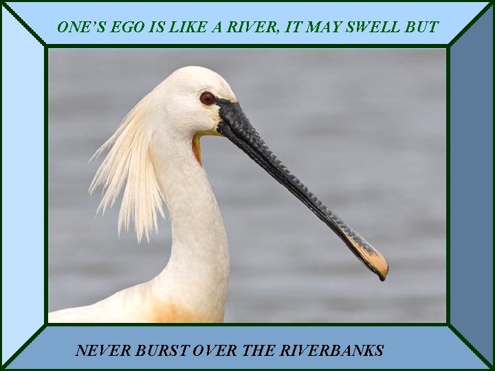 ONE’S EGO IS LIKE A RIVER, IT MAY SWELL BUT NEVER BURST OVER THE
