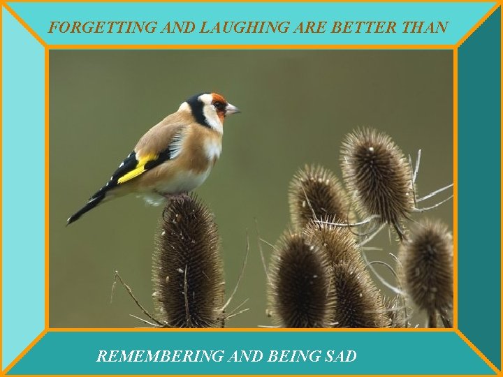 FORGETTING AND LAUGHING ARE BETTER THAN REMEMBERING AND BEING SAD 