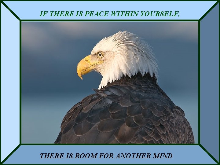 IF THERE IS PEACE WITHIN YOURSELF, THERE IS ROOM FOR ANOTHER MIND 