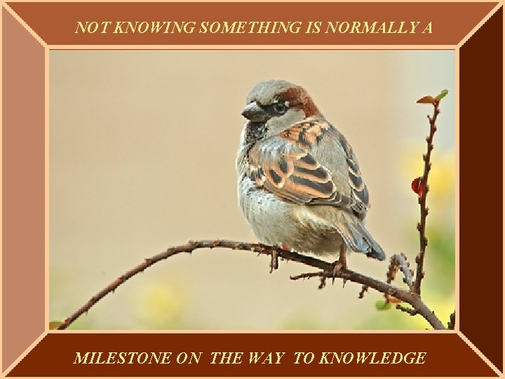 NOT KNOWING SOMETHING IS NORMALLY A MILESTONE ON THE WAY TO KNOWLEDGE 