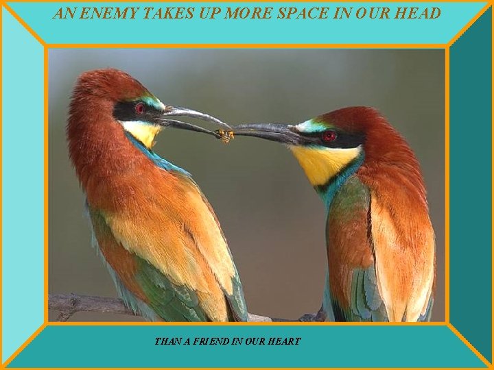 AN ENEMY TAKES UP MORE SPACE IN OUR HEAD THAN A FRIEND IN OUR