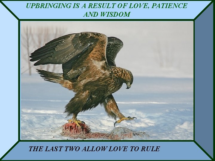 UPBRINGING IS A RESULT OF LOVE, PATIENCE AND WISDOM THE LAST TWO ALLOW LOVE