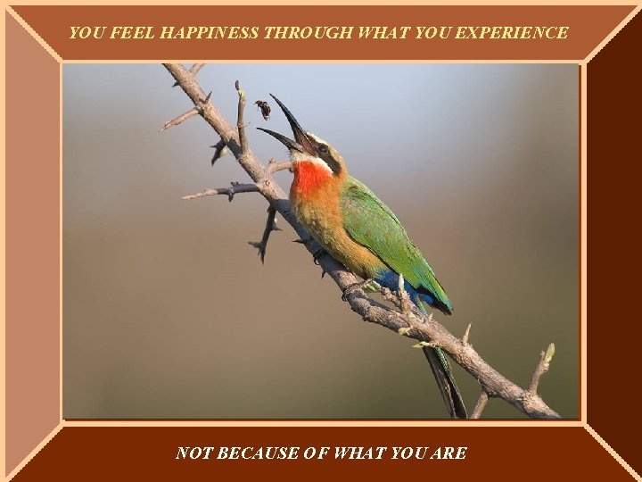 YOU FEEL HAPPINESS THROUGH WHAT YOU EXPERIENCE NOT BECAUSE OF WHAT YOU ARE 