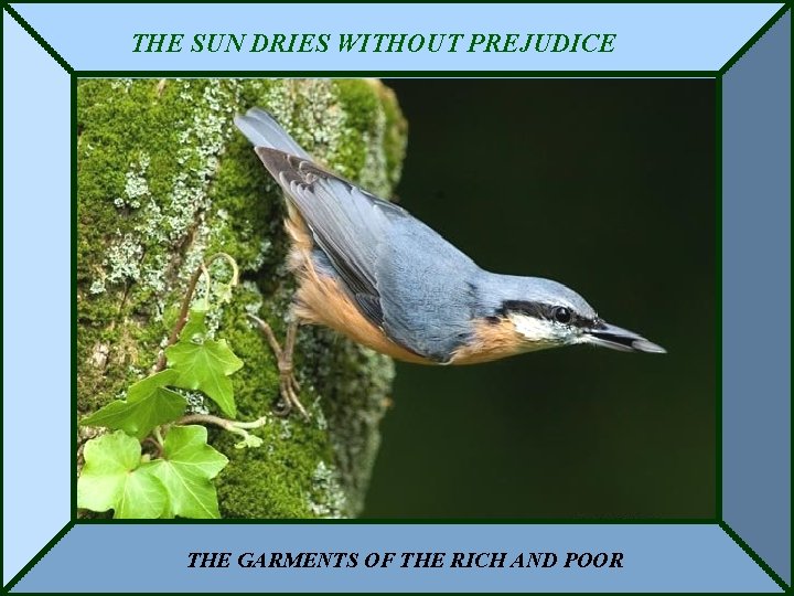 THE SUN DRIES WITHOUT PREJUDICE THE GARMENTS OF THE RICH AND POOR 