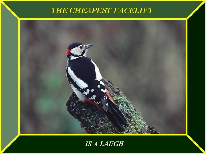 THE CHEAPEST FACELIFT IS A LAUGH 