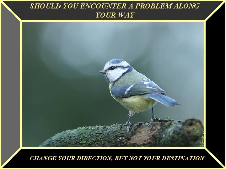 SHOULD YOU ENCOUNTER A PROBLEM ALONG YOUR WAY CHANGE YOUR DIRECTION, BUT NOT YOUR