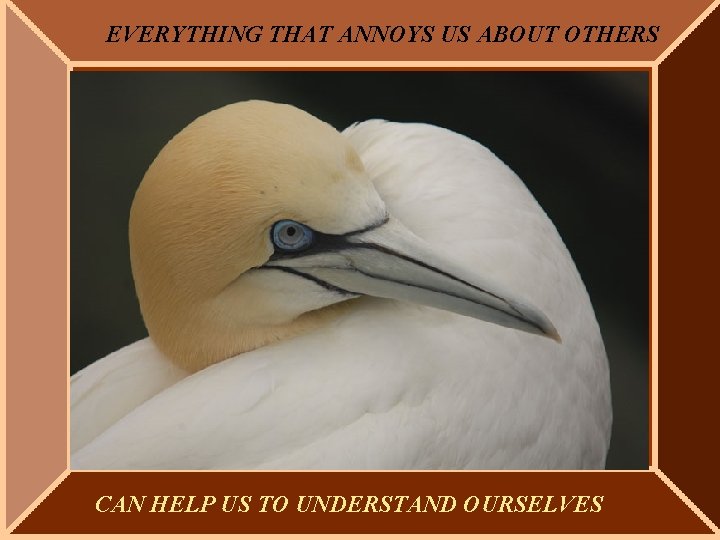 EVERYTHING THAT ANNOYS US ABOUT OTHERS CAN HELP US TO UNDERSTAND OURSELVES 