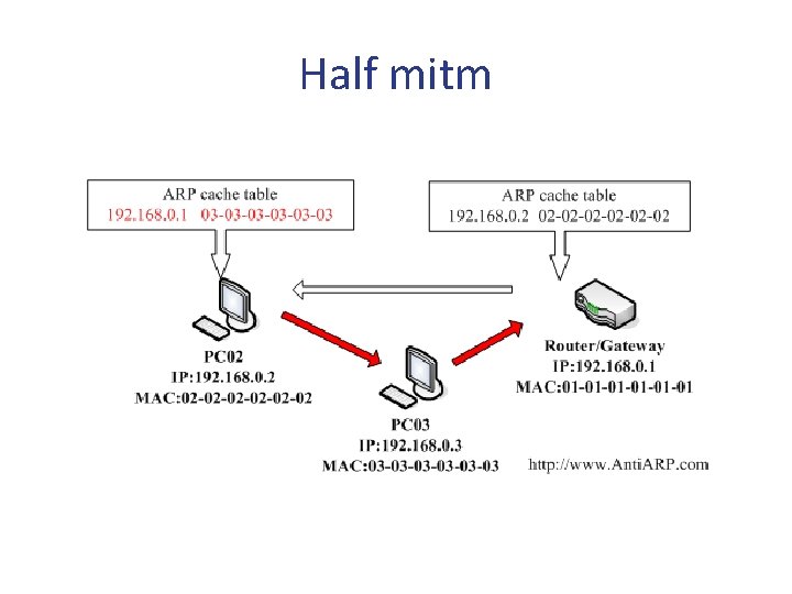 Half mitm Half mitm