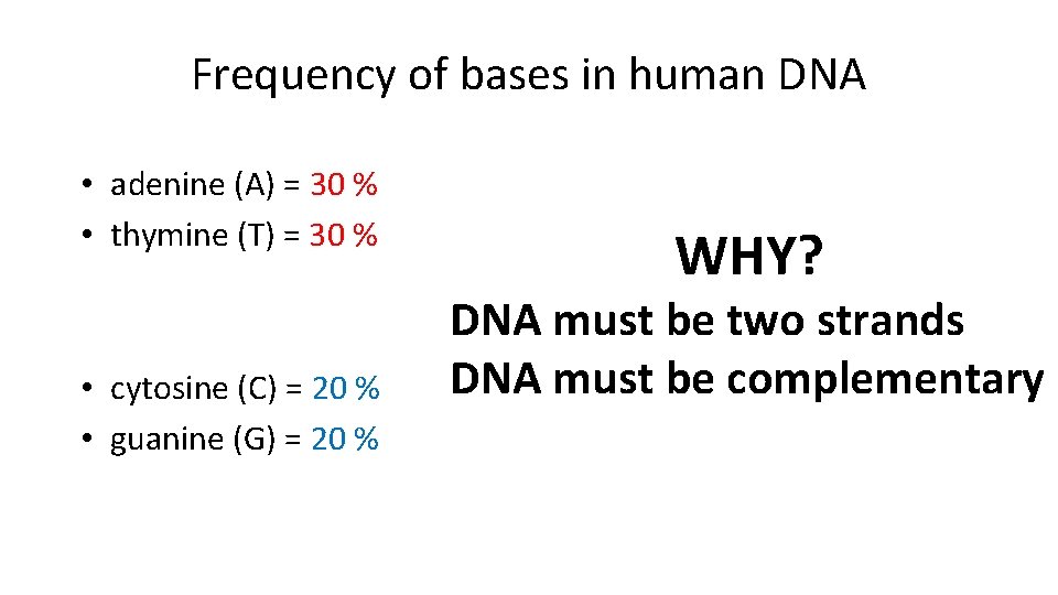 Frequency of bases in human DNA • adenine (A) = 30 % • thymine