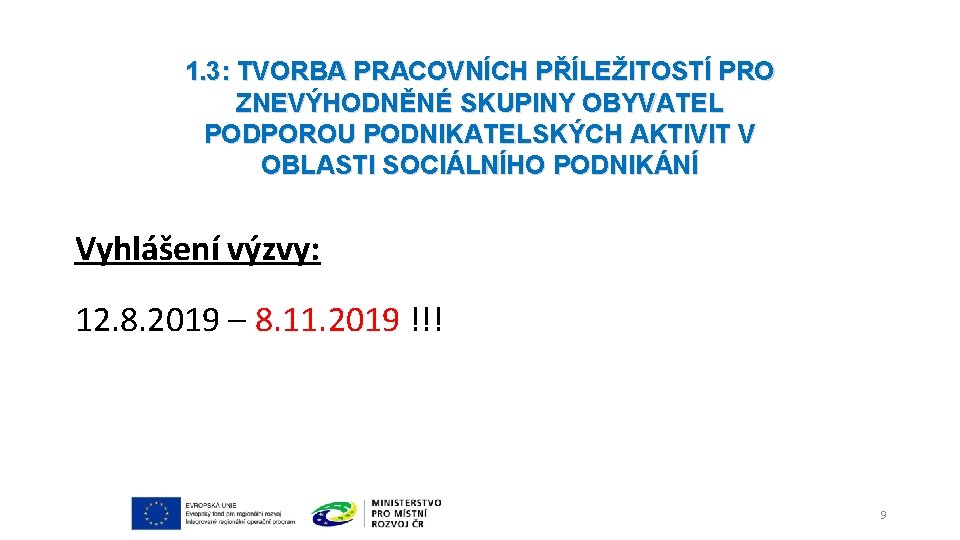 1. 3: TVORBA PRACOVNÍCH PŘÍLEŽITOSTÍ PRO ZNEVÝHODNĚNÉ SKUPINY OBYVATEL PODPOROU PODNIKATELSKÝCH AKTIVIT V OBLASTI