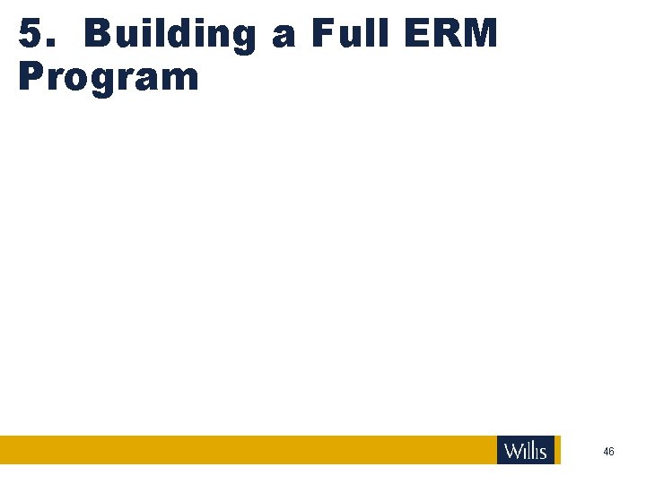 5. Building a Full ERM Program 46 
