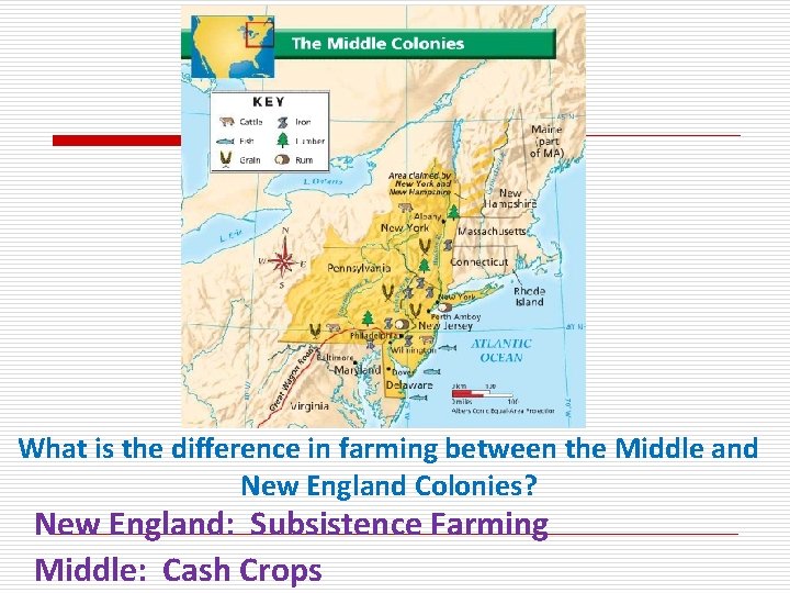What is the difference in farming between the Middle and New England Colonies? New