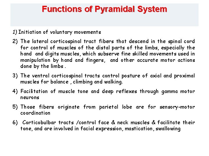 Functions of Pyramidal System 1) Initiation of voluntary movements 2) The lateral corticospinal tract