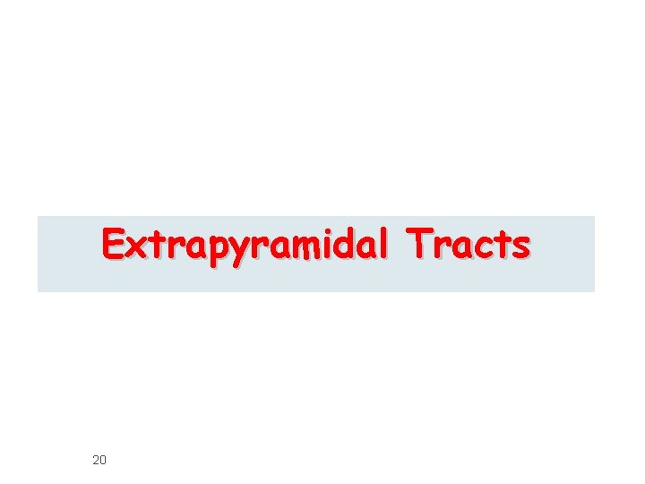 Extrapyramidal Tracts 20 