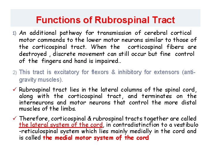 Functions of Rubrospinal Tract 1) An additional pathway for transmission of cerebral cortical motor