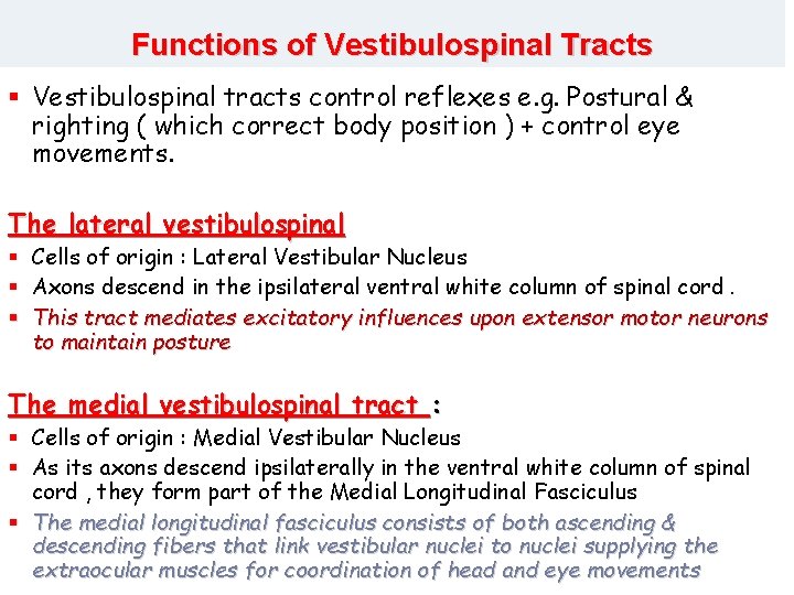 Functions of Vestibulospinal Tracts § Vestibulospinal tracts control reflexes e. g. Postural & righting