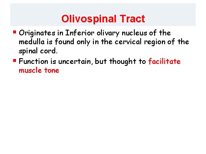 Olivospinal Tract § Originates in Inferior olivary nucleus of the medulla is found only