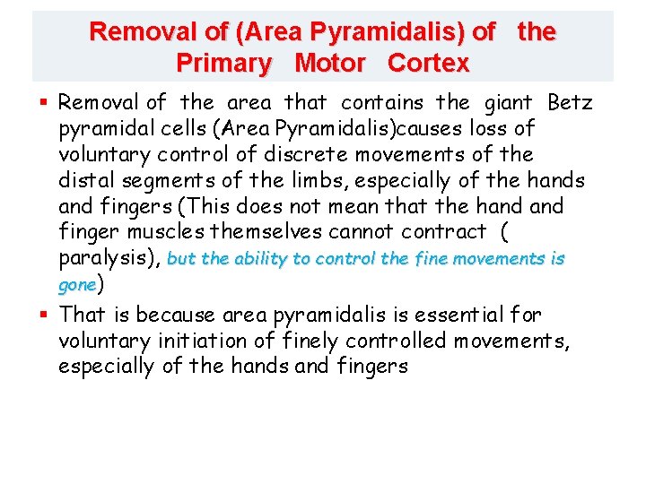 Removal of (Area Pyramidalis) of the Primary Motor Cortex § Removal of the area