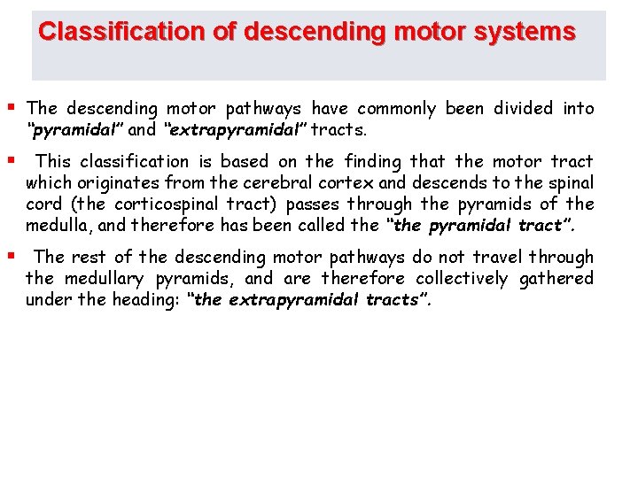 Classification of descending motor systems § The descending motor pathways have commonly been divided