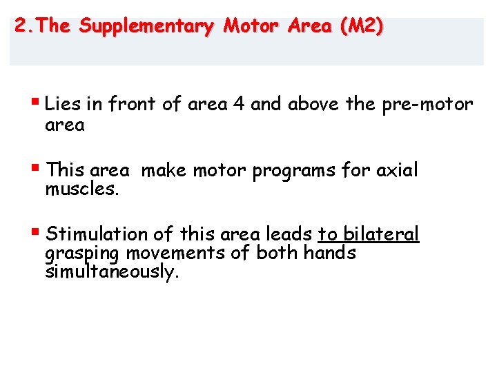 2. The Supplementary Motor Area (M 2) § Lies in front of area 4