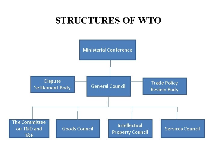 STRUCTURES OF WTO Ministerial Conference Dispute Settlement Body The Committee on T&D and T&E